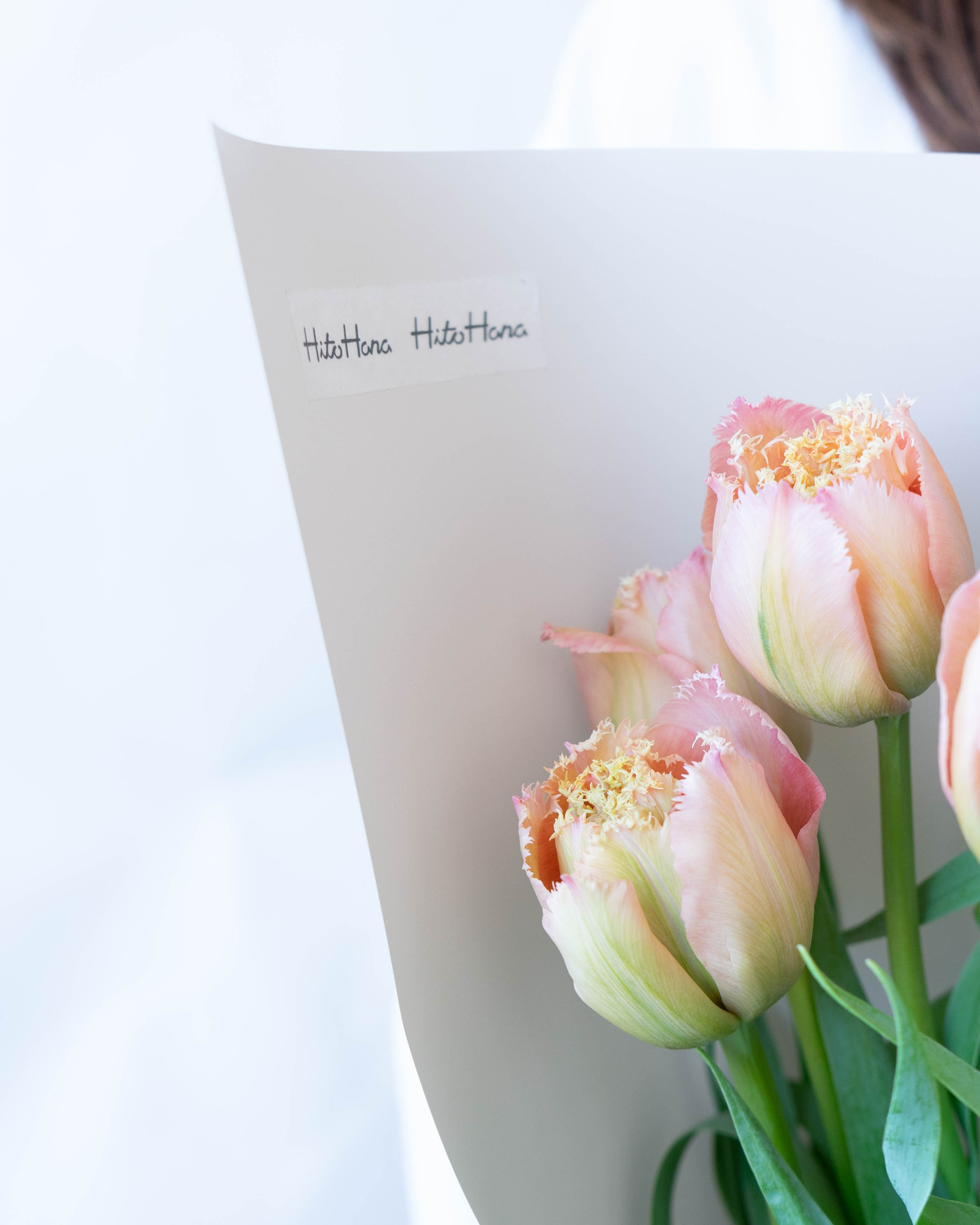 チューリップ 　TULIP OFFICIAL MAGAZINE　全12冊+4冊 VICL-62849.jpg?_c=