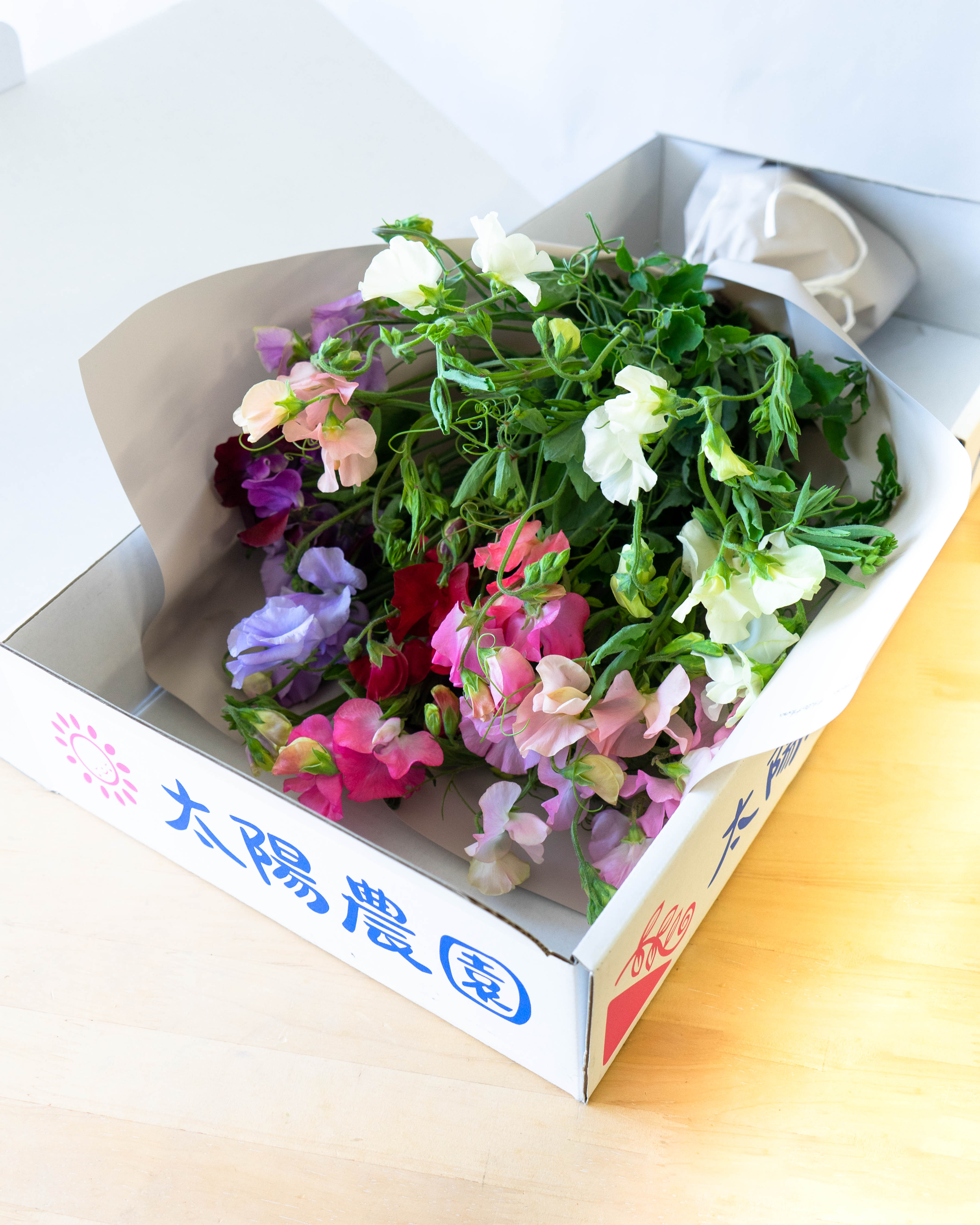 産地直送 枝切スイートピー 花束 ミックス 産直箱 ラッピングあり（15