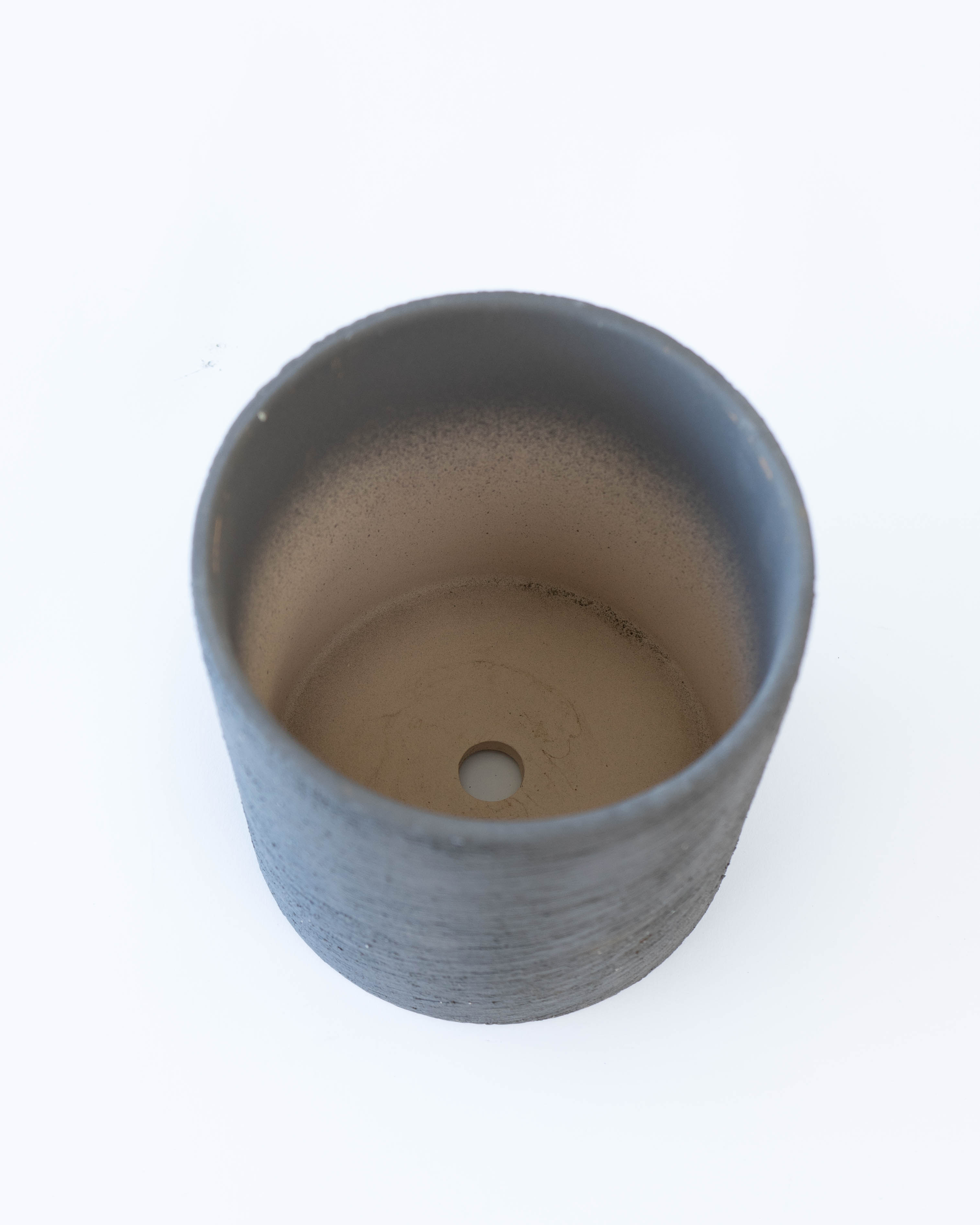 産地直送 鉢植え 庭木 ロニセラ ホワイトマジック 5号 陶器鉢 エッシ