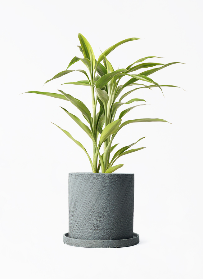 ハルさま専用 花器16点