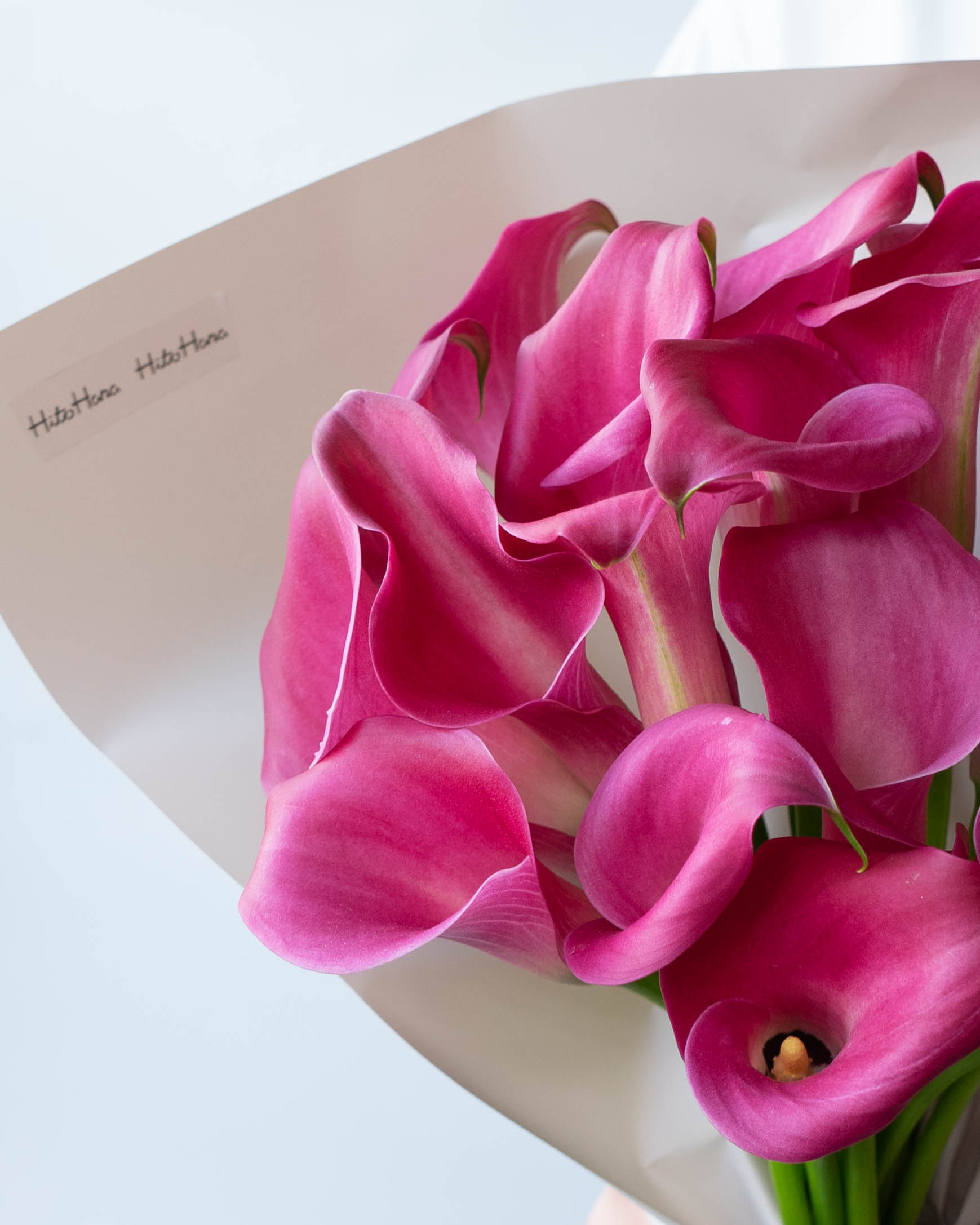 花子さま♥おまとめ　サンククルールラッピング付き 産地直送 カラー 花束 ピンク (20本)／岩手 三浦さんからお届け