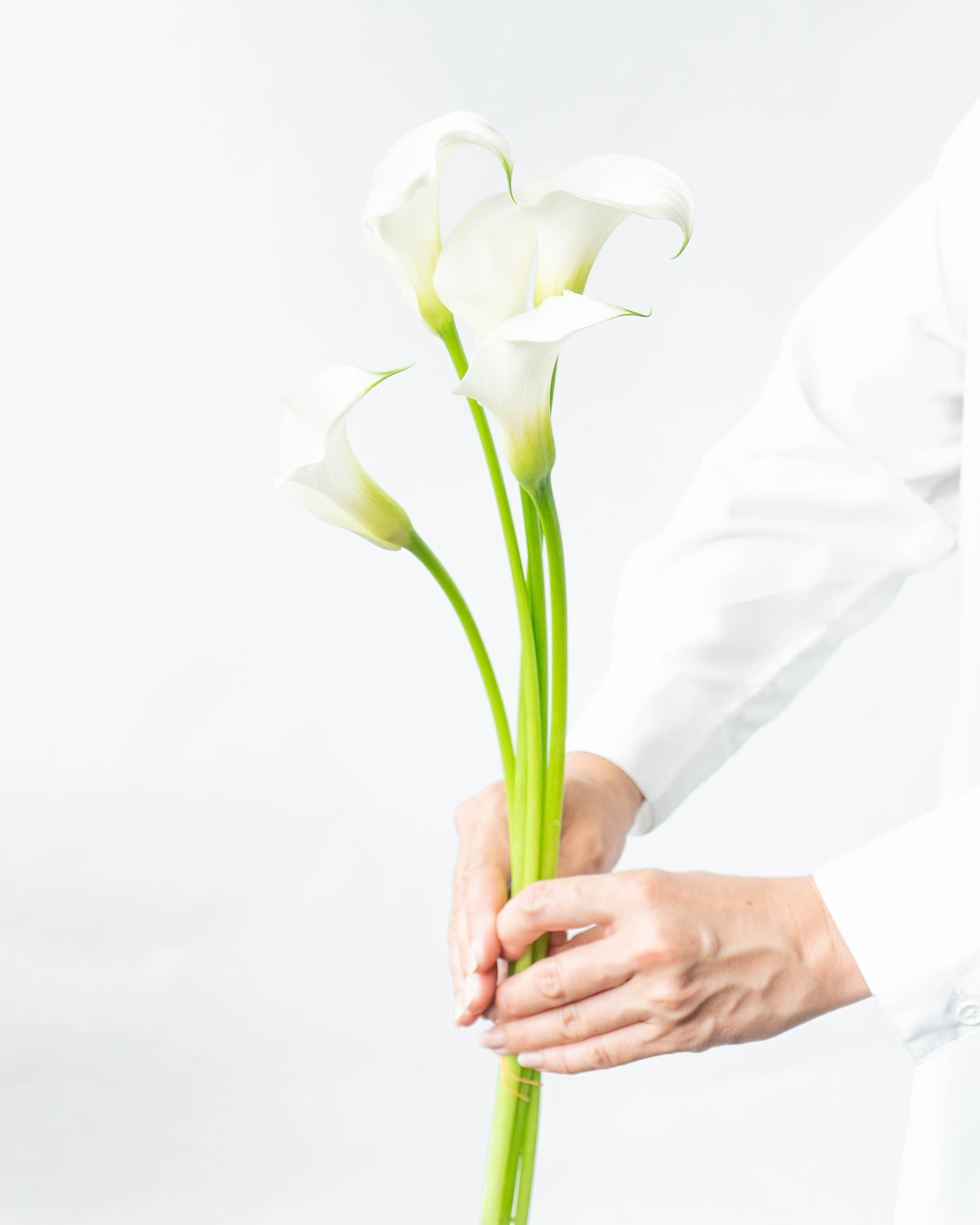 カラーの花束・ブーケ | フラワーギフトの通販ならHitoHana