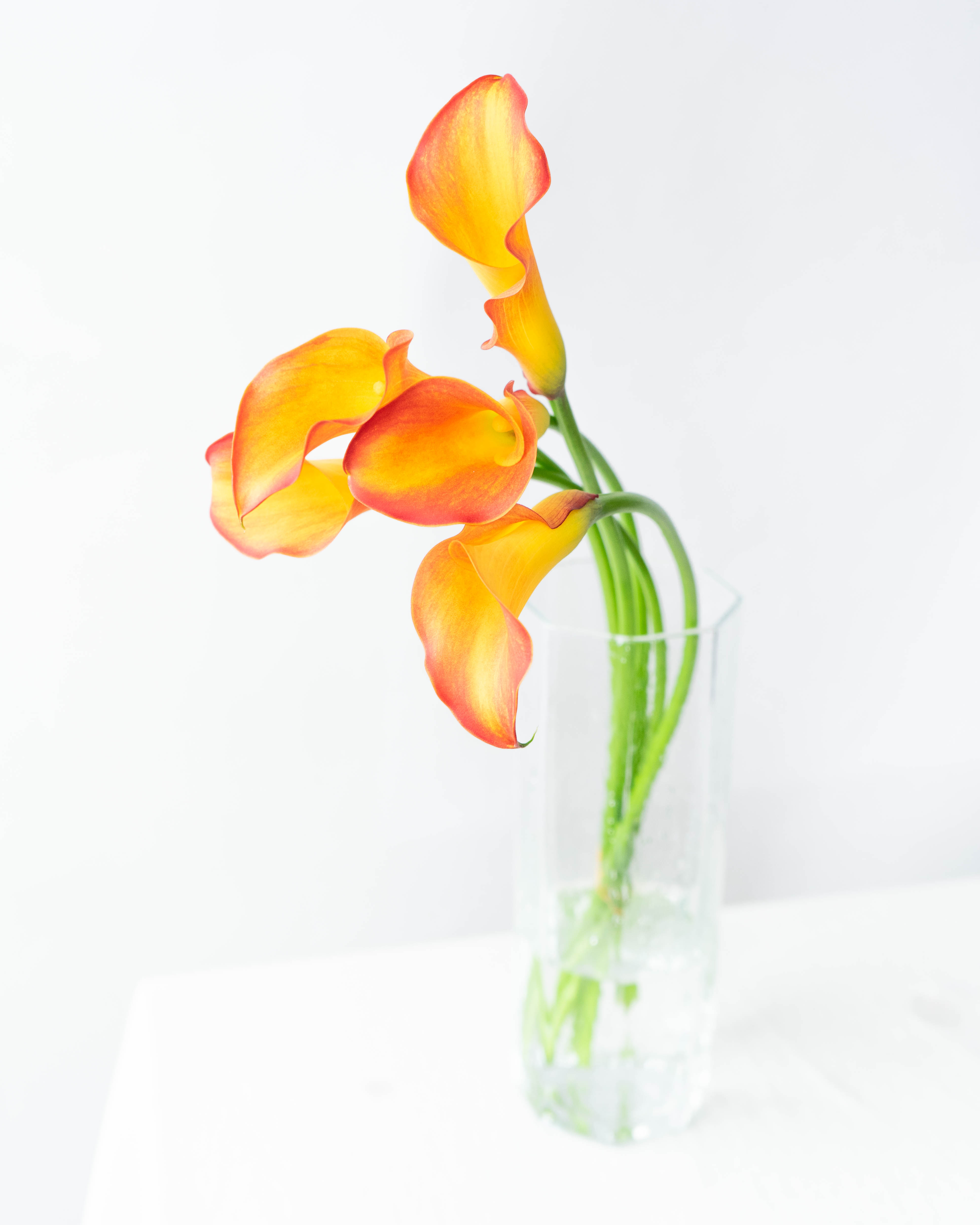 【一点もの】yuuさま専用です☆黄色とオレンジと白のお花の置物 一点もの】yuuさま専用です☆黄色とオレンジと白のお花の置物