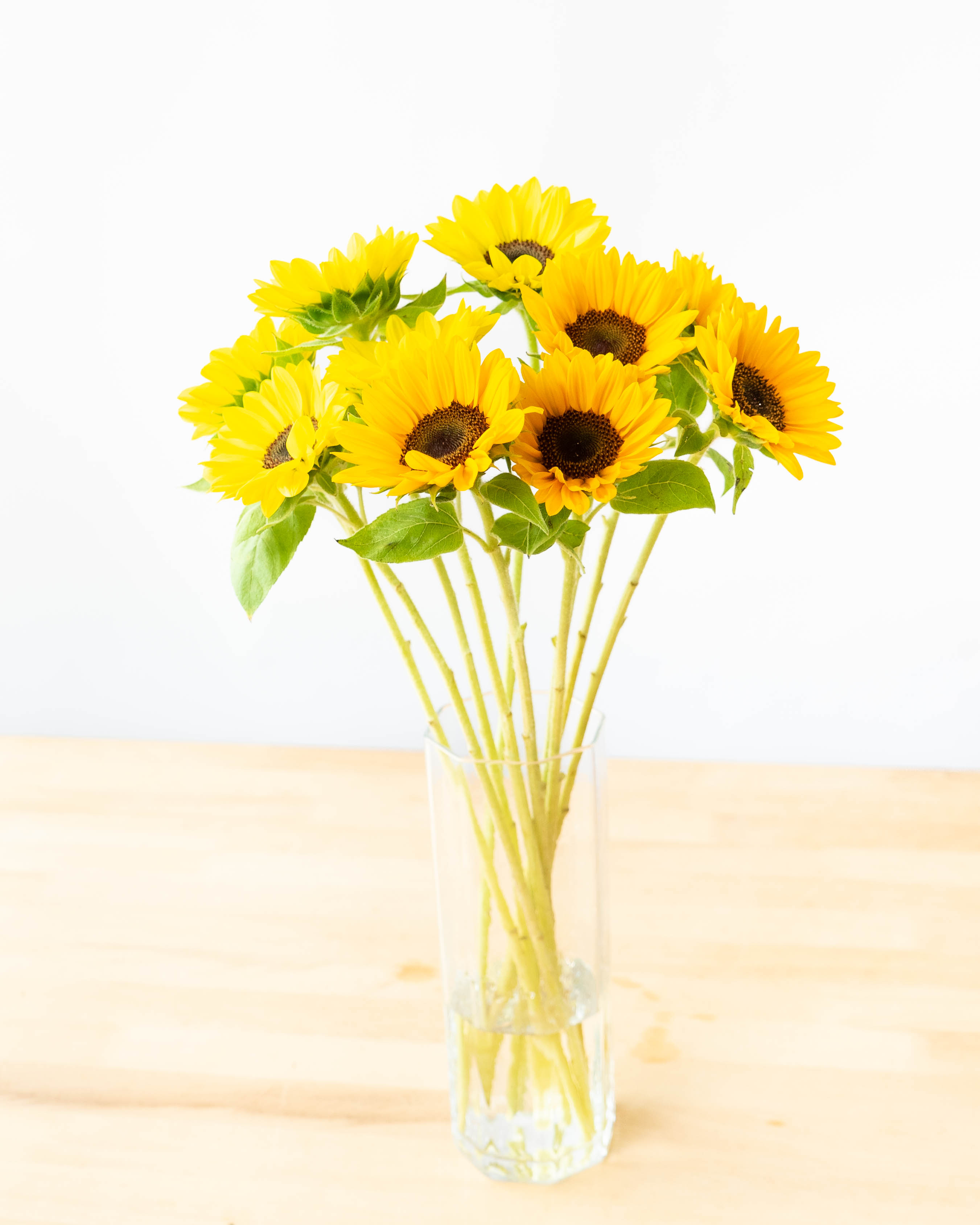 産地直送 ひまわり 1輪 花束 30本用／千葉 金井園芸からお届け