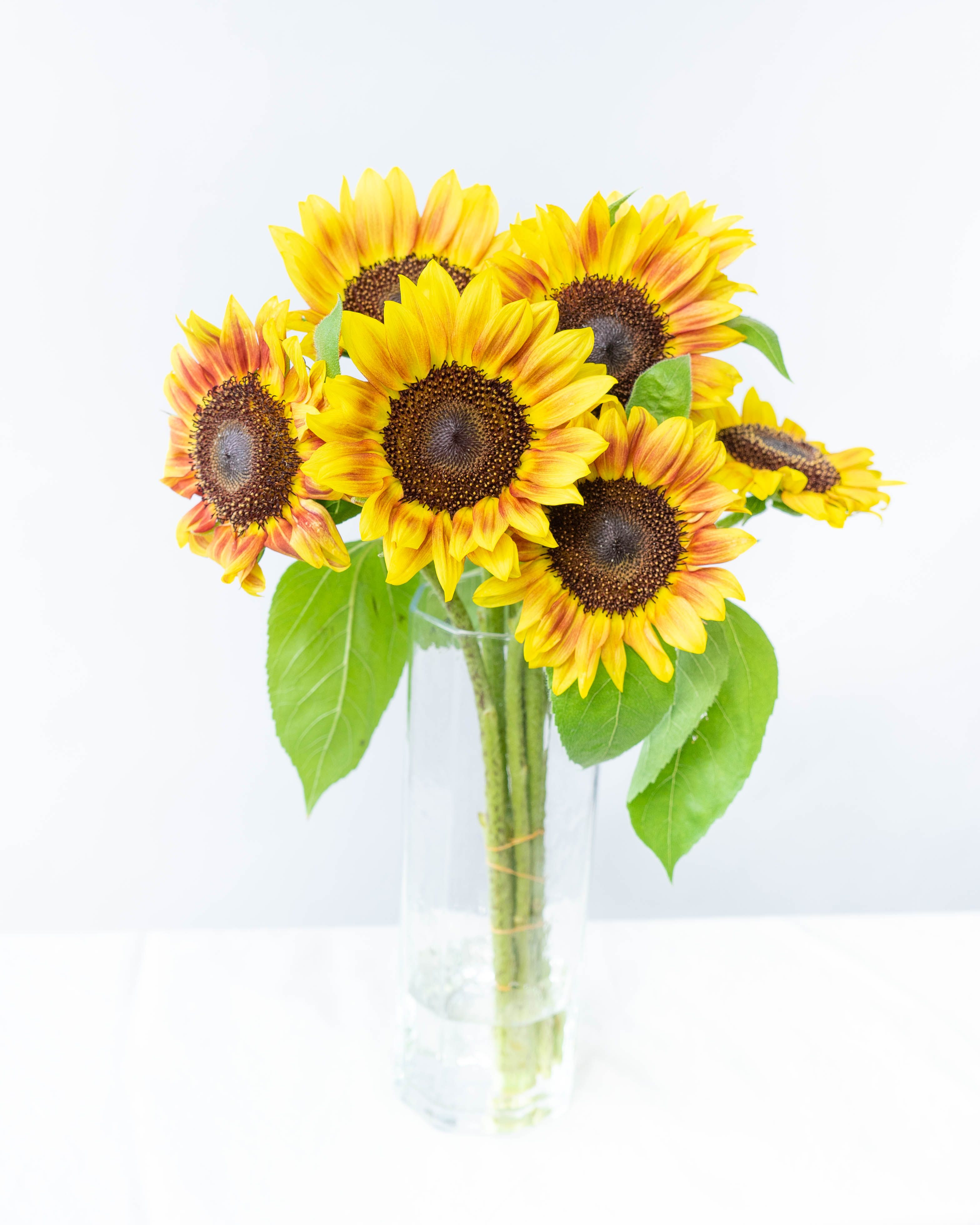 ひまわりSHOP♪ 即購入大歓迎★ 産地直送 ひまわり花束 ミックス咲き S（10本入り）／千葉 金井