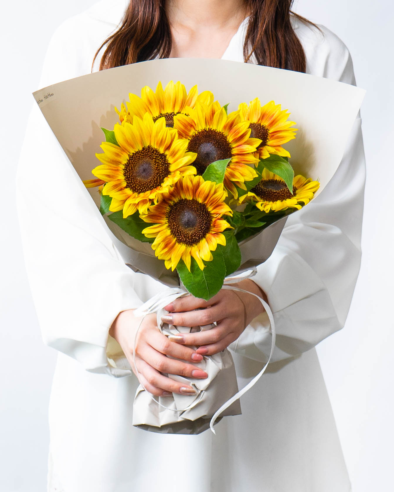 ひまわりさん専用 ひまわり栽培キット - SEISHIN PLUS