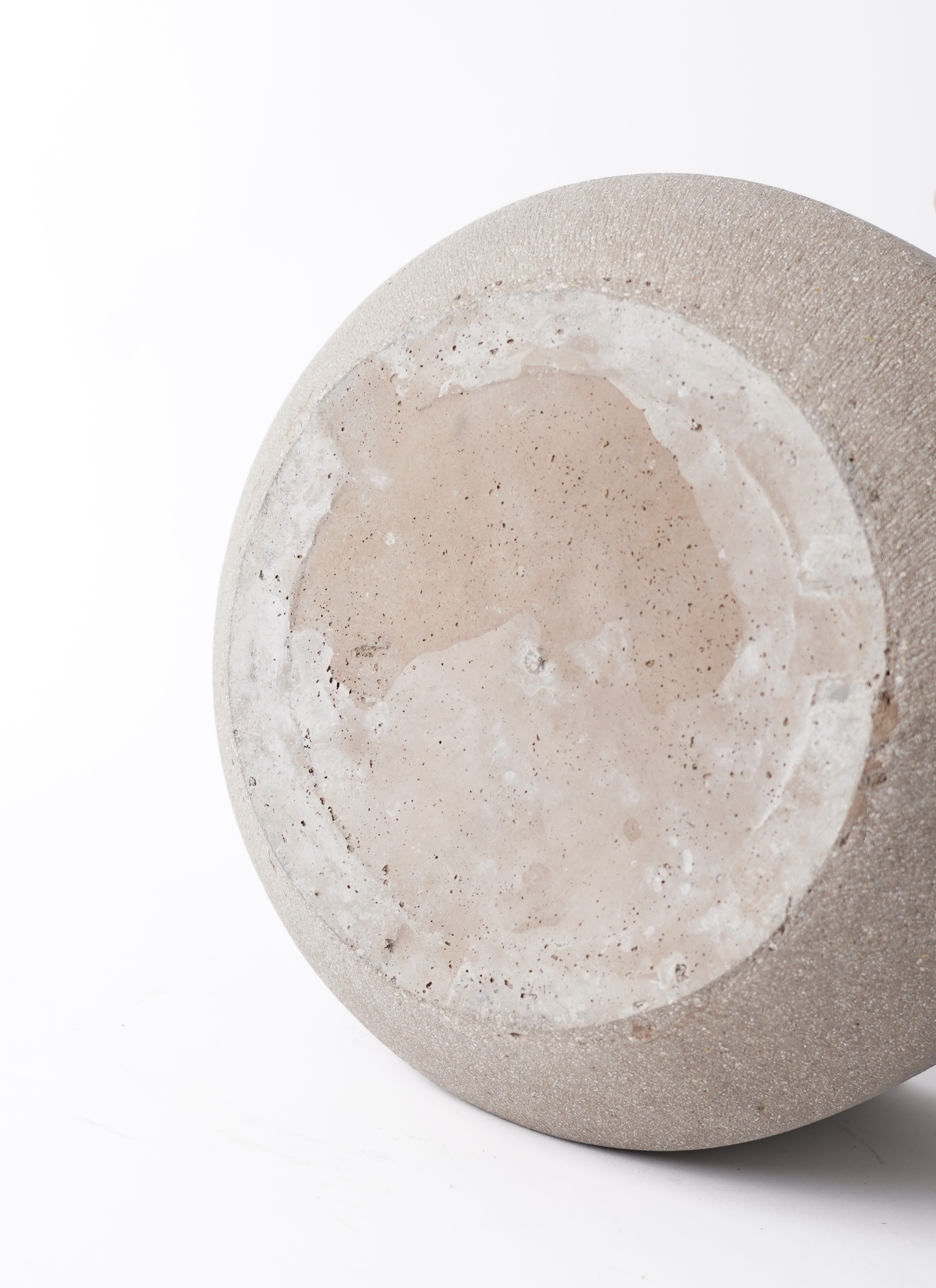 観葉植物 ユーカリ 7号 グニー パボ ミドル アースブラウン 付き