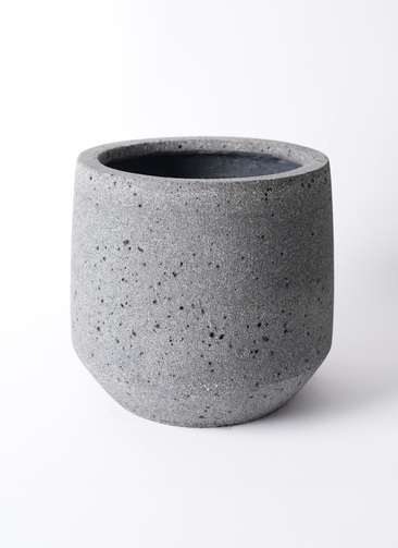 pavo-10_0001.jpg?1721706277