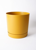 prosper-5_0001.jpg?1721706304