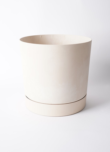 prosper-15_0001.jpg?1721706327