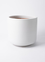 vitro-7_0001.jpg?1721706380