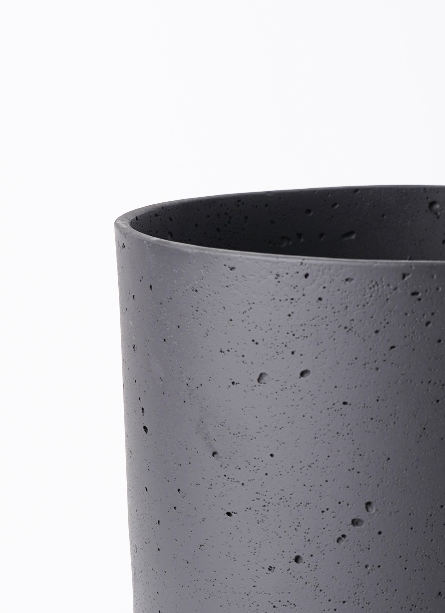 観葉植物 ガジュマル 8号 パンダ ライム ドゥオ ユーポット＆ソーサー