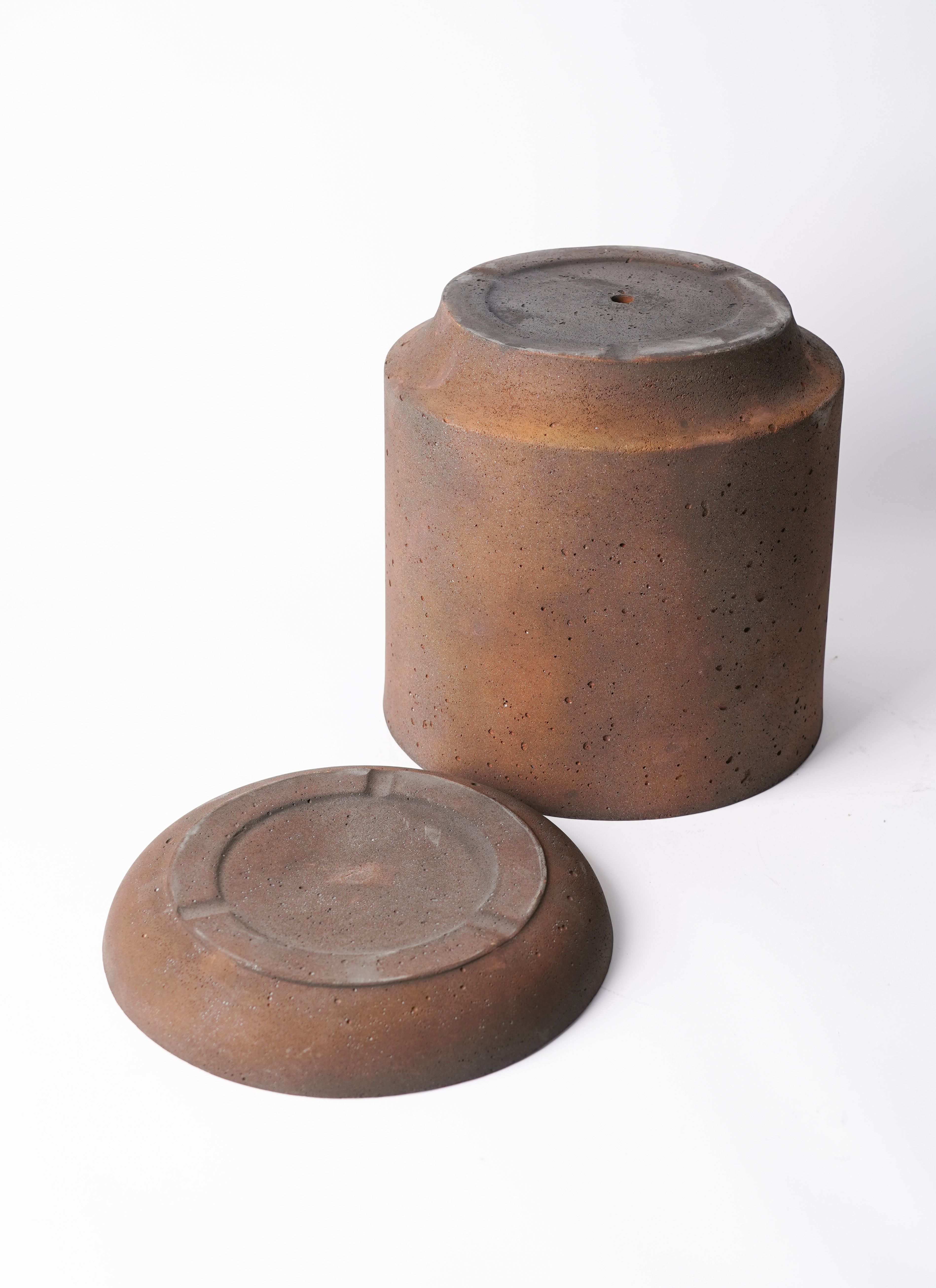 観葉植物 フィカス バーガンディ 8号 曲り ライム ドゥオ ユーポット