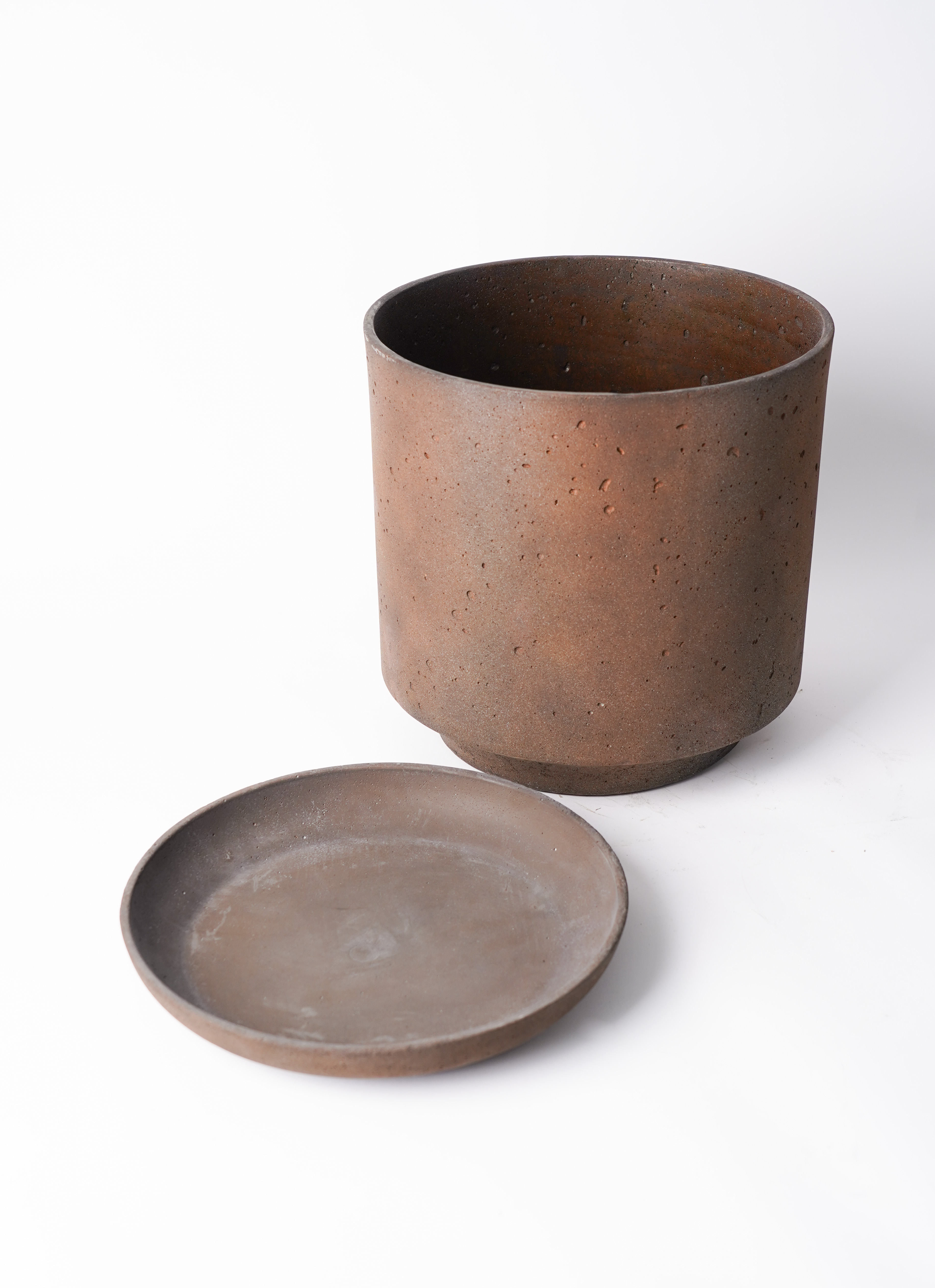 観葉植物 ウンナンシュロチク（雲南棕櫚竹） 8号 ライム ドゥオ