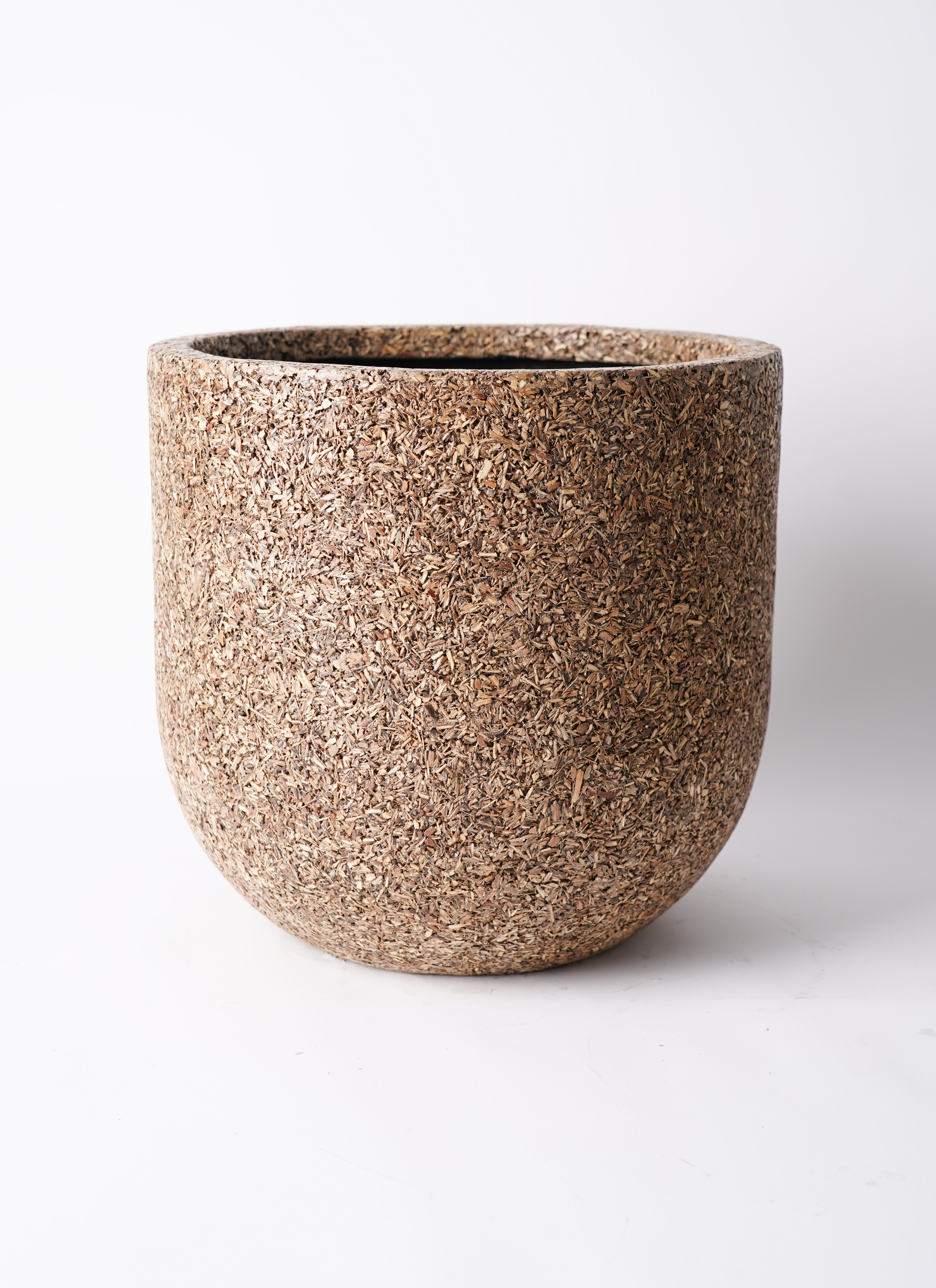 【一点モノ／現地風演出】Euphorbia clivicola 鉢付き発送 一点モノ／現地風演出】Euphorbia clivicola 鉢付き発送