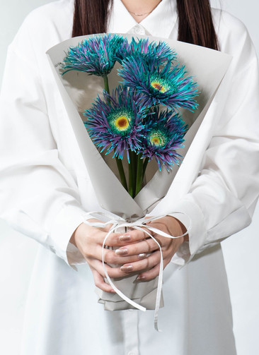 産地直送 ガーベラ 染めブルー ピーコックミント 花束 （5本）／静岡