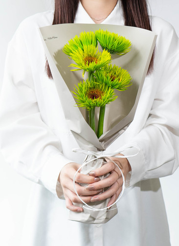 ds-matsushita-gerbera-peacock-