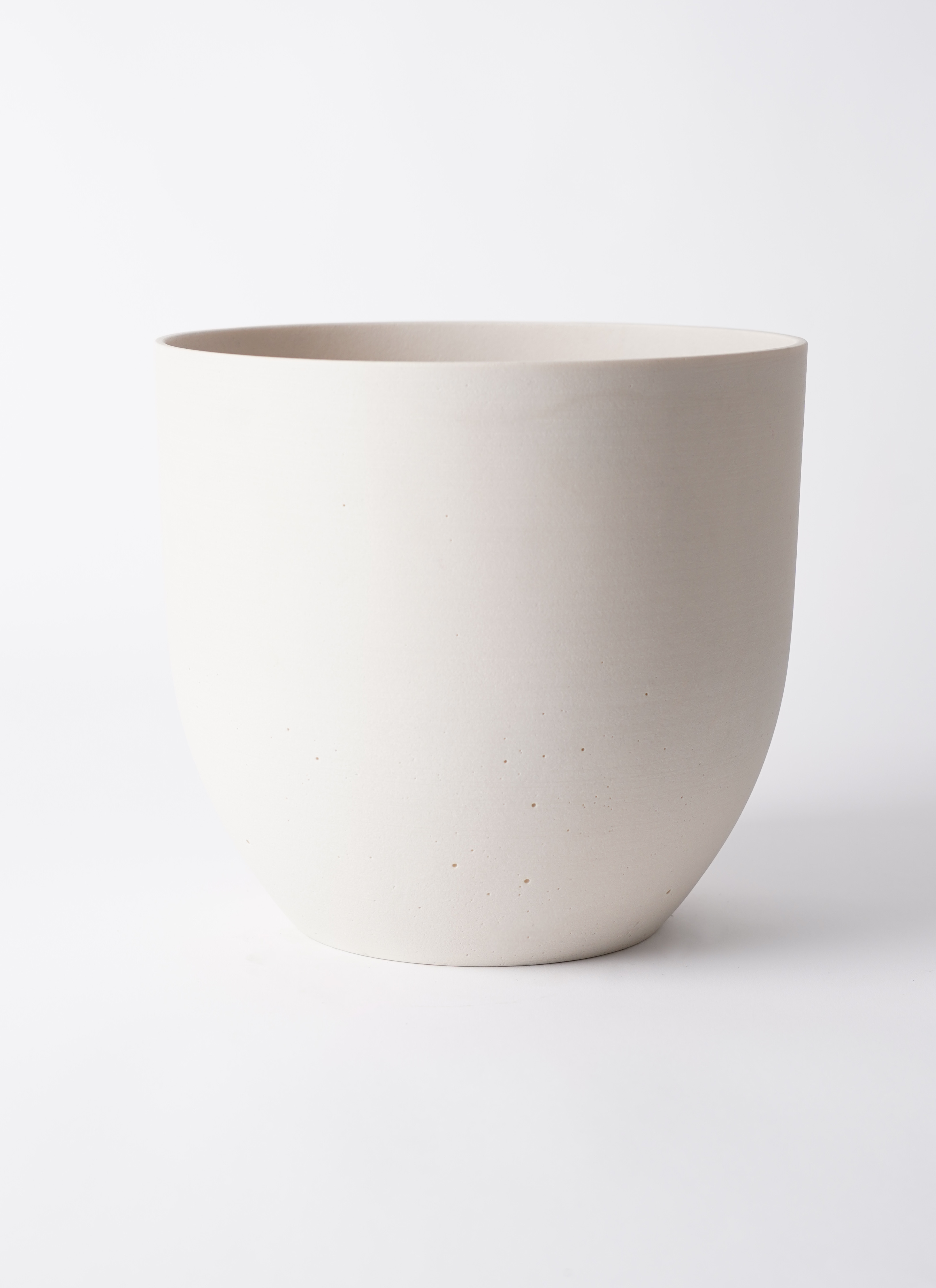 フィカス アムステルダムキング⭐️スパイラル⭐️大型約160cm白鉢 フィカス アムステルダムキング⭐️スパイラル⭐️大型約160cm白鉢