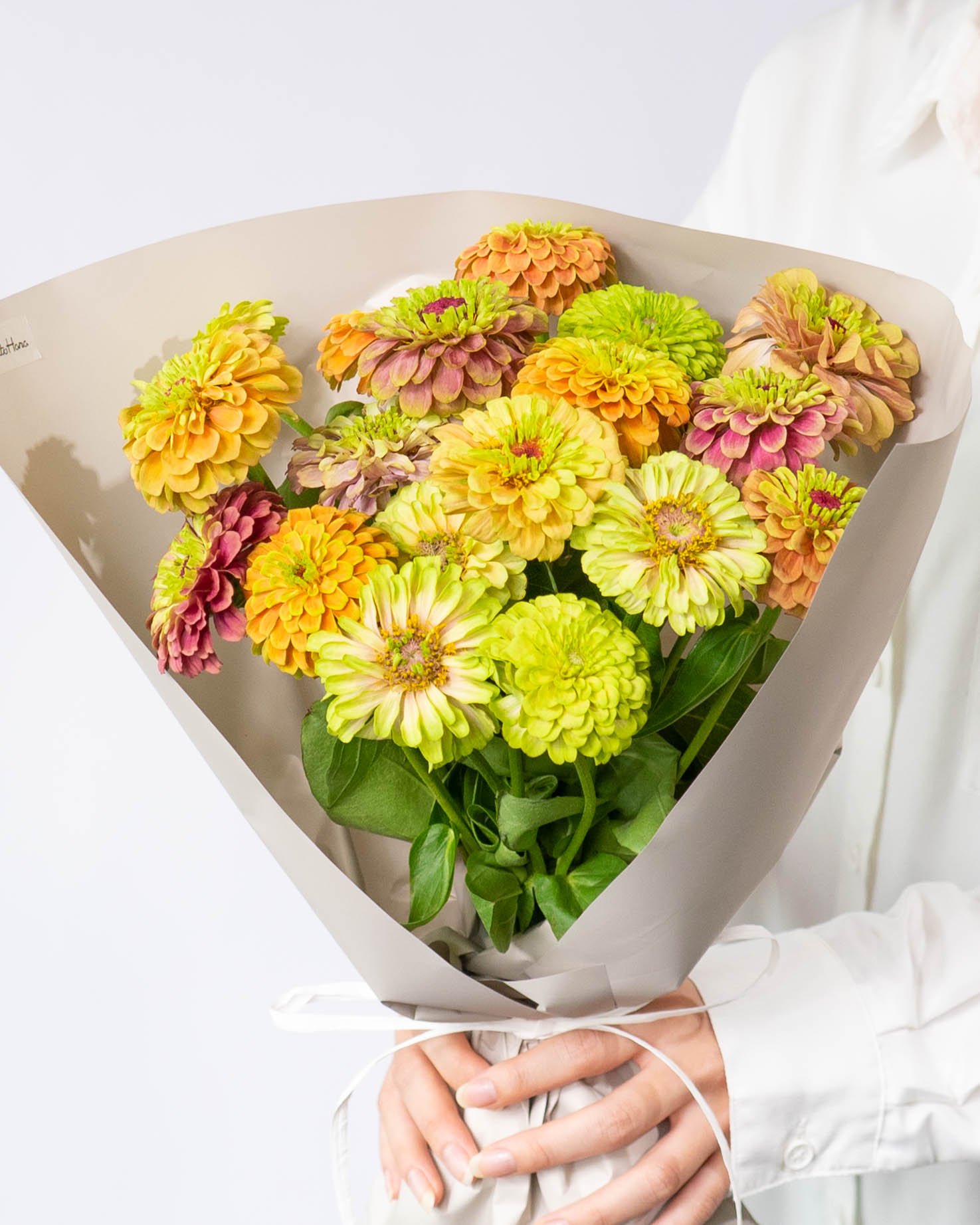 産地直送 ジニア 花束 ミックス（18本入り）／宮城 丹野さんからお届け