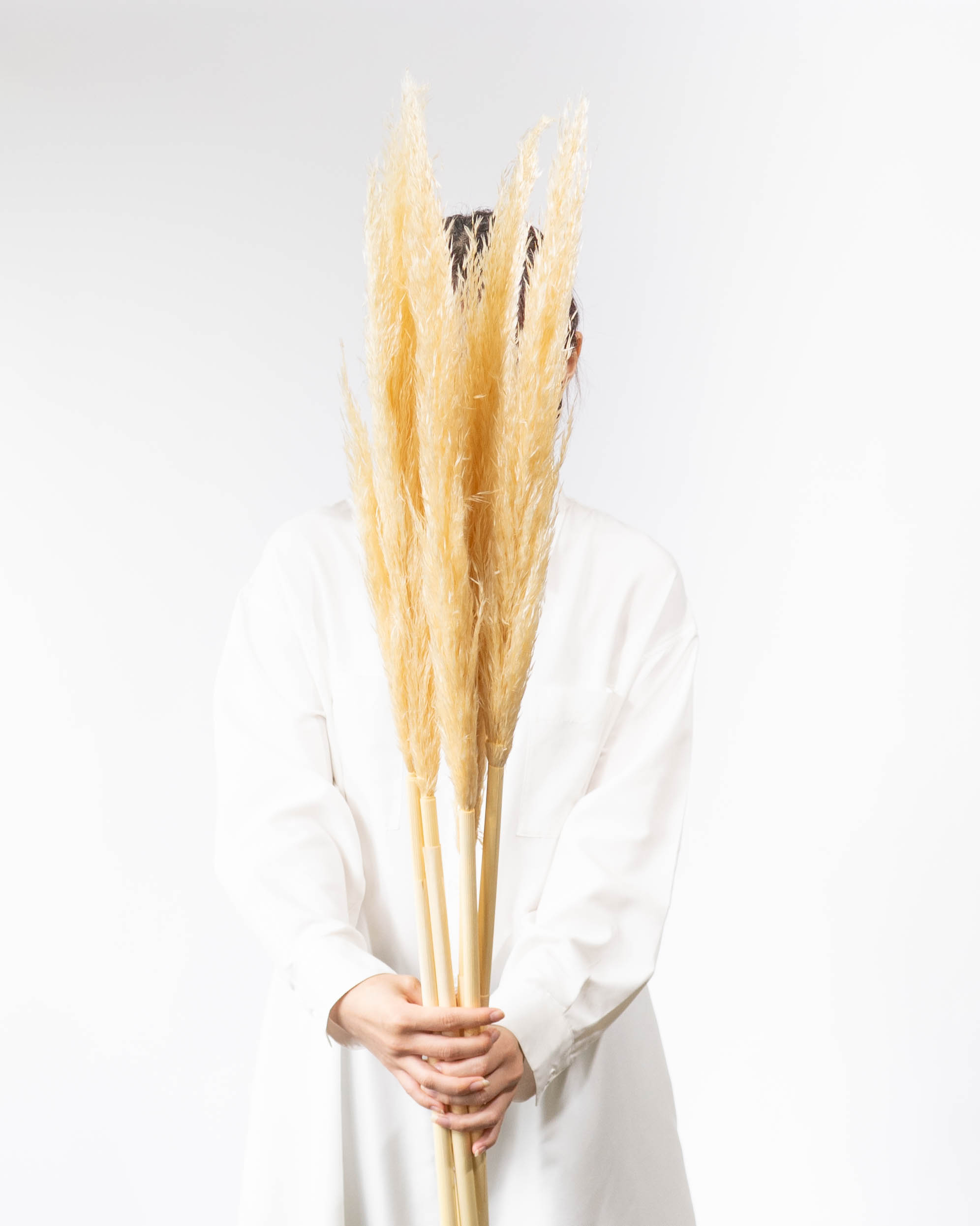 産地直送 オザキノウエン 枝もの＆パンパスグラス | 送料無料