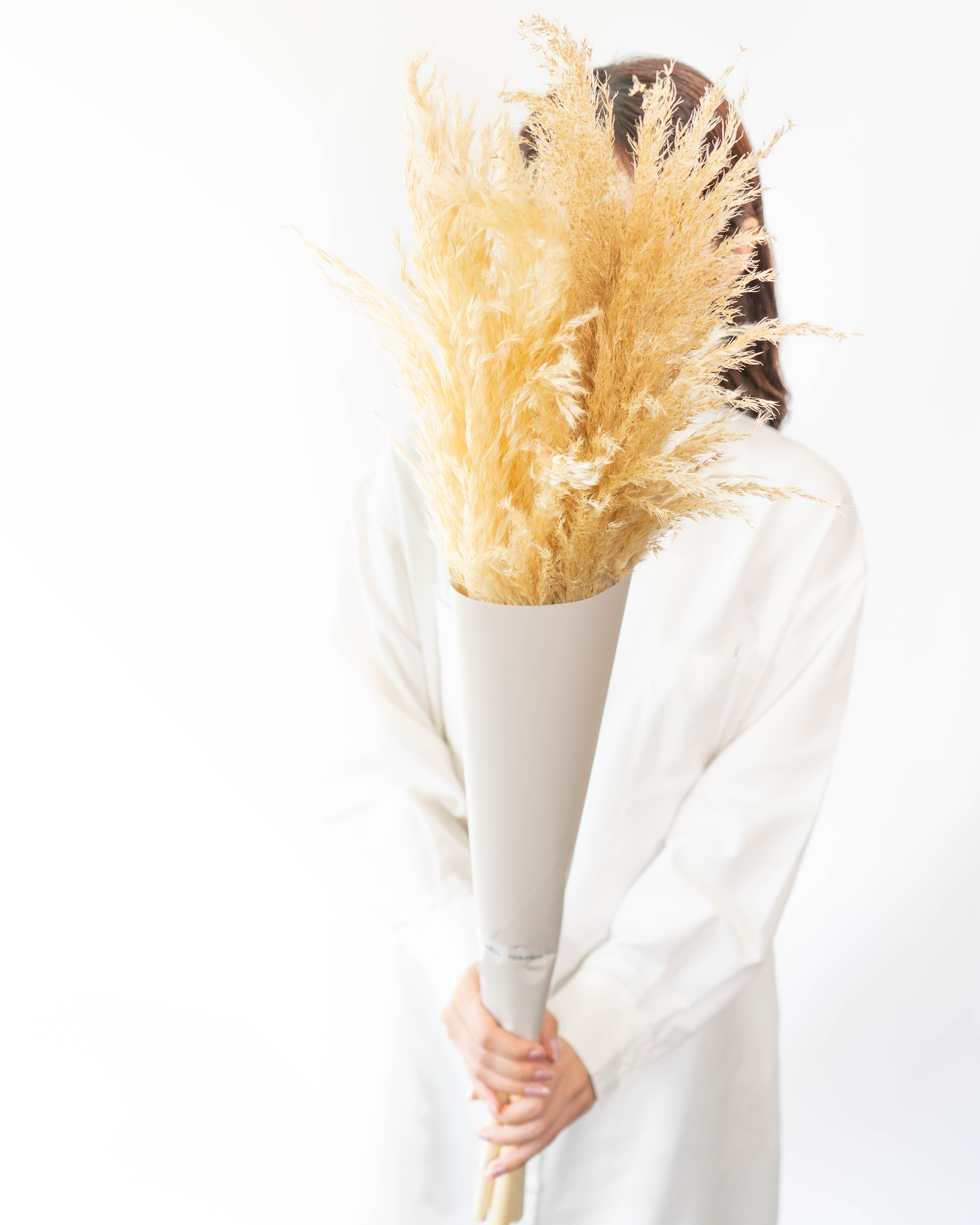 産地直送 パンパスグラス 花束 （3本入り）／宮城 丹野さんからお届け