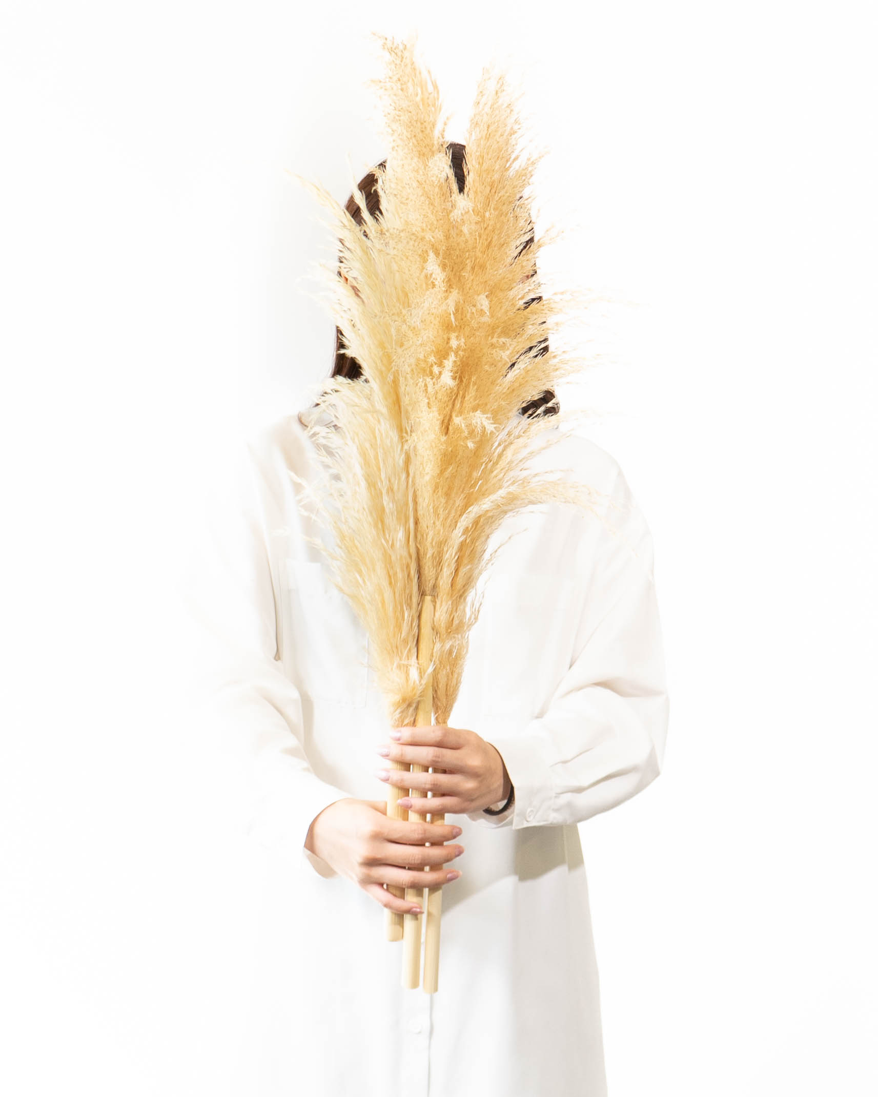 産地直送 パンパスグラス 花束 （3本入り）／宮城 丹野さんからお届け