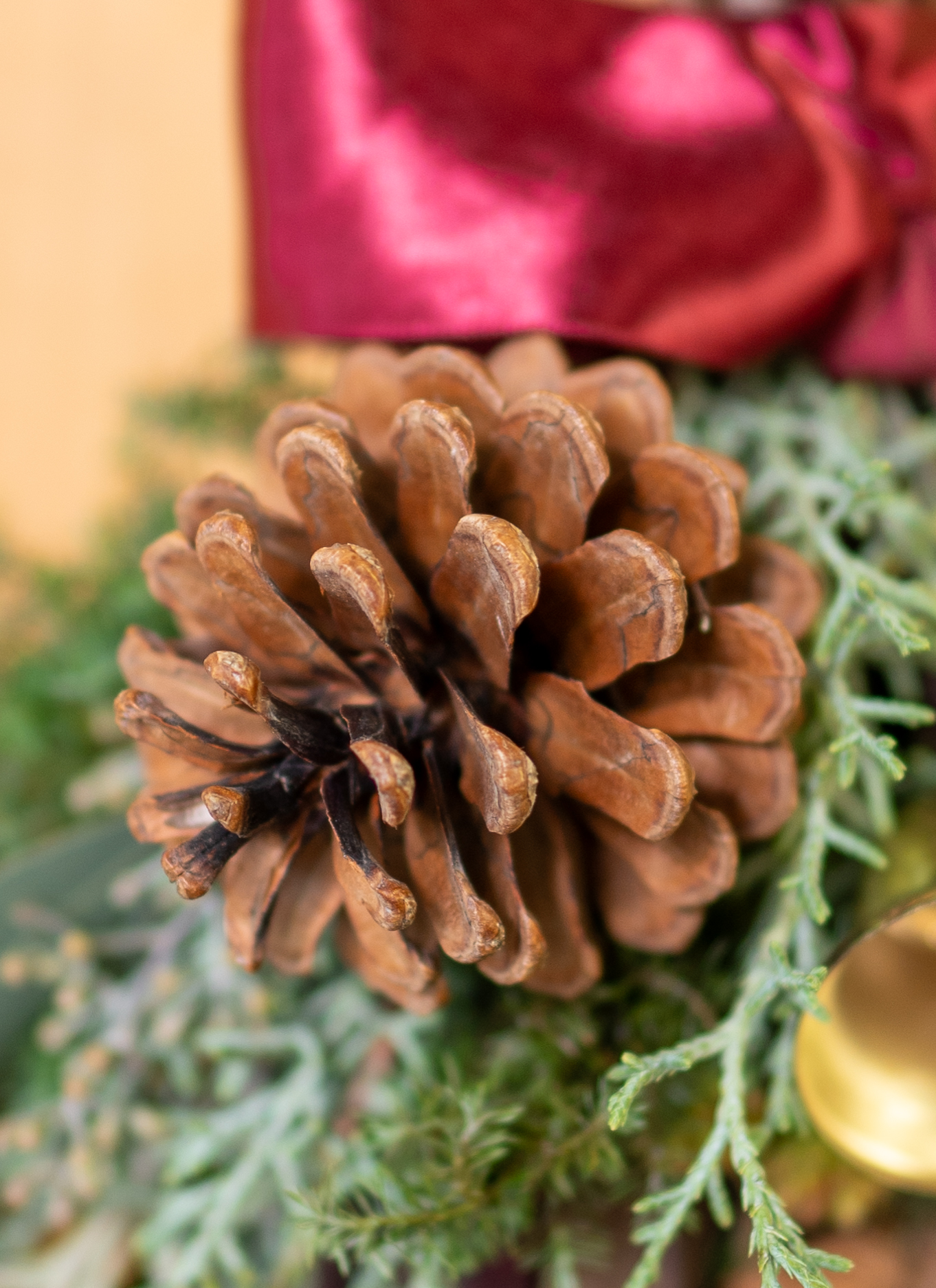 クリスマススワッグ てづくりのフレッシュスワッグ S | スワッグ