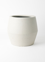 pavo-6_0001.jpg?1730432325