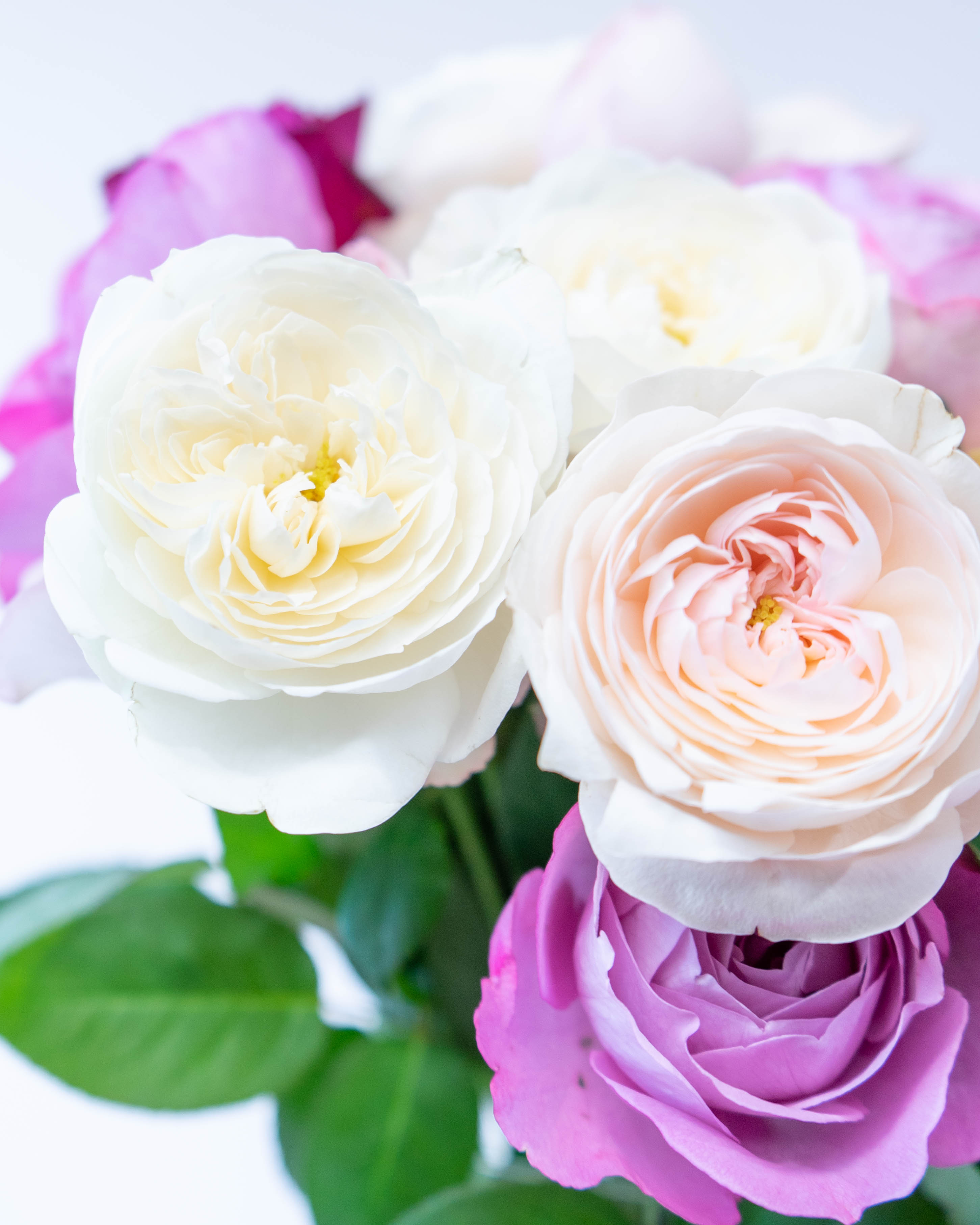 1～2日発送】パープルミックス M(70本) サヴォンローズ バラ花束