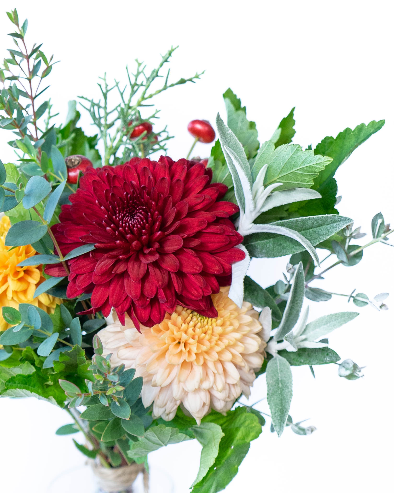 無農薬✨沖縄県産✨ホワイトサポテ✨3キロ 蝶々華専用 シークワーサー 無農薬 沖縄産 お取り寄せ販売（通販）農園直送