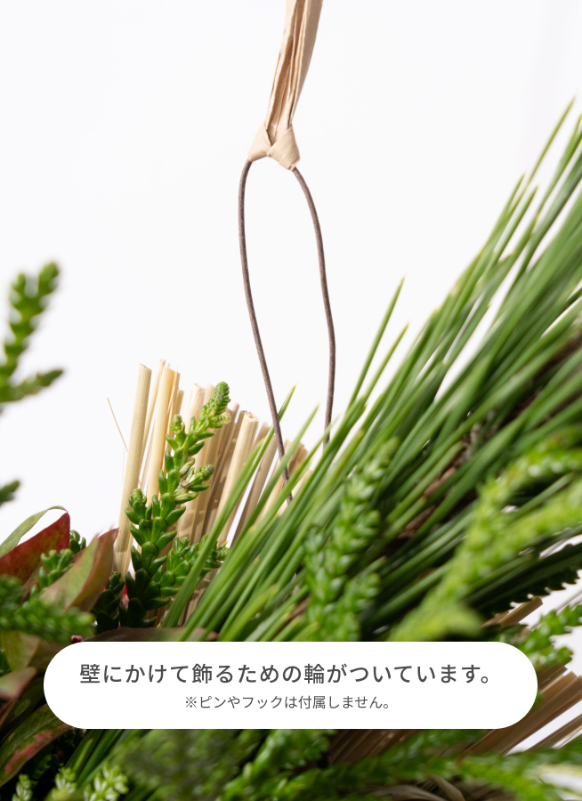 キングプロテアと柳でモダンに飾る 注連飾り しめ縄 お正月飾り