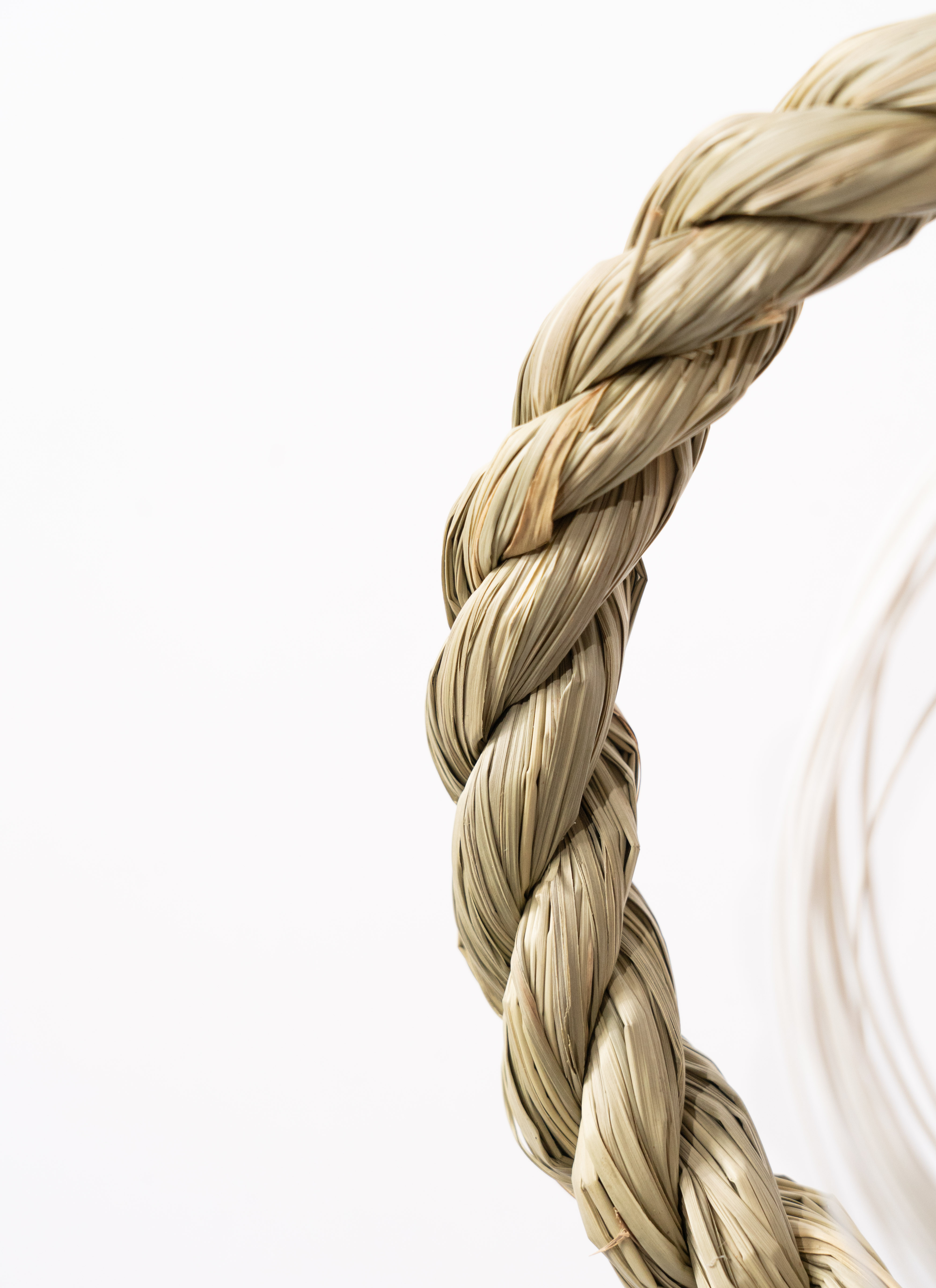 38.若松しめ縄 Amazon.co.jp: ［ 2025年 mamawreath しめ縄 ］紅白水引しめ縄