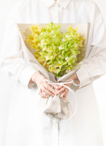 ds-ishida-cymbidium-bundle- ds-ishida-cymbidium-bundle-