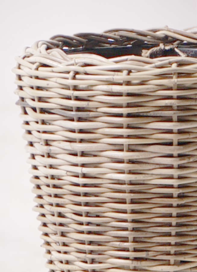 観葉植物 オリーブの木 10号 ワンセブンセブン モンデリック ラタン