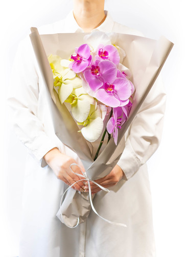 産地直送 胡蝶蘭大輪 切り花 ミックス 3本入り ギフトボックス／埼玉