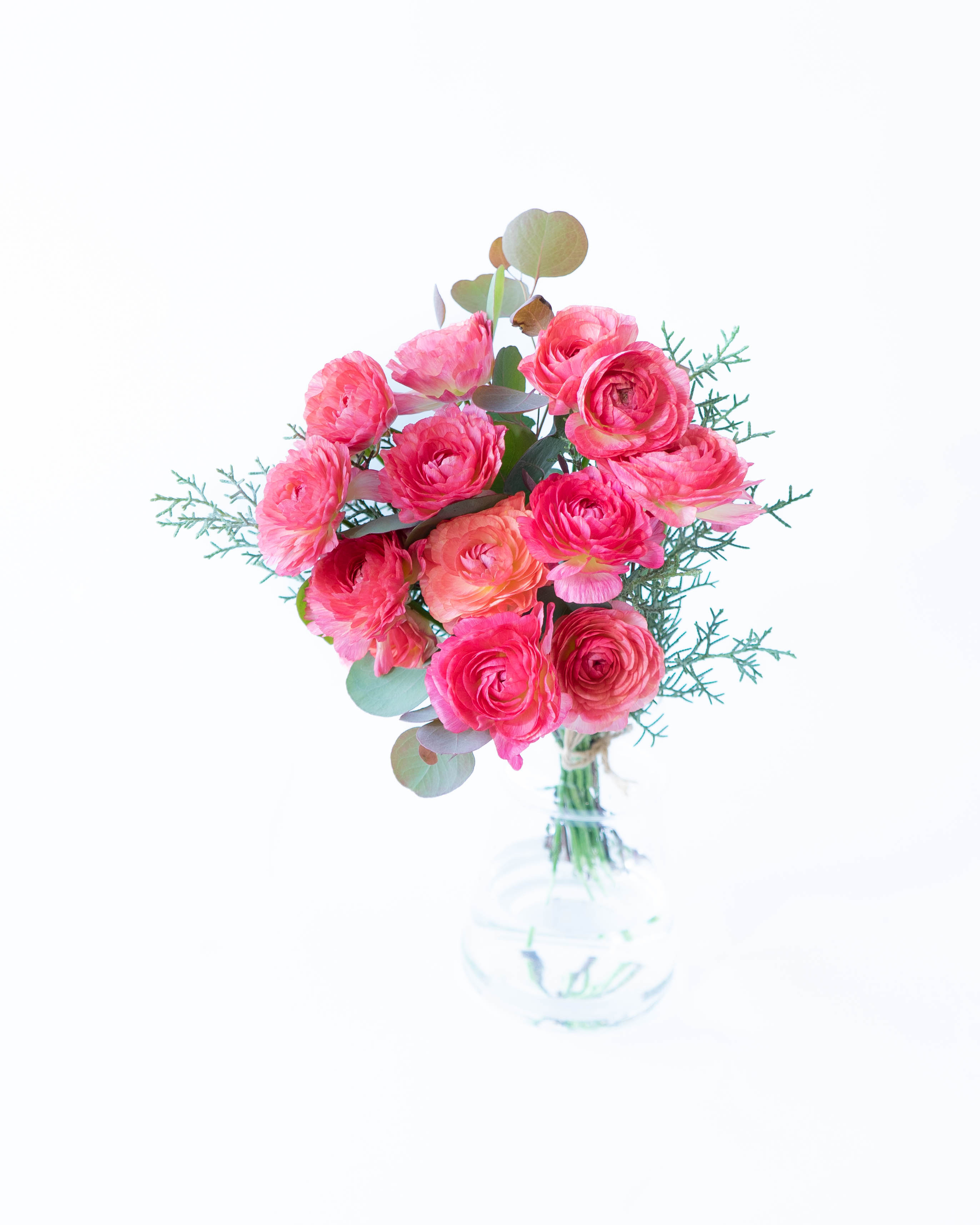 産地直送 ラナンキュラス 花束 ピンク M／福岡 すぎファームからお届け