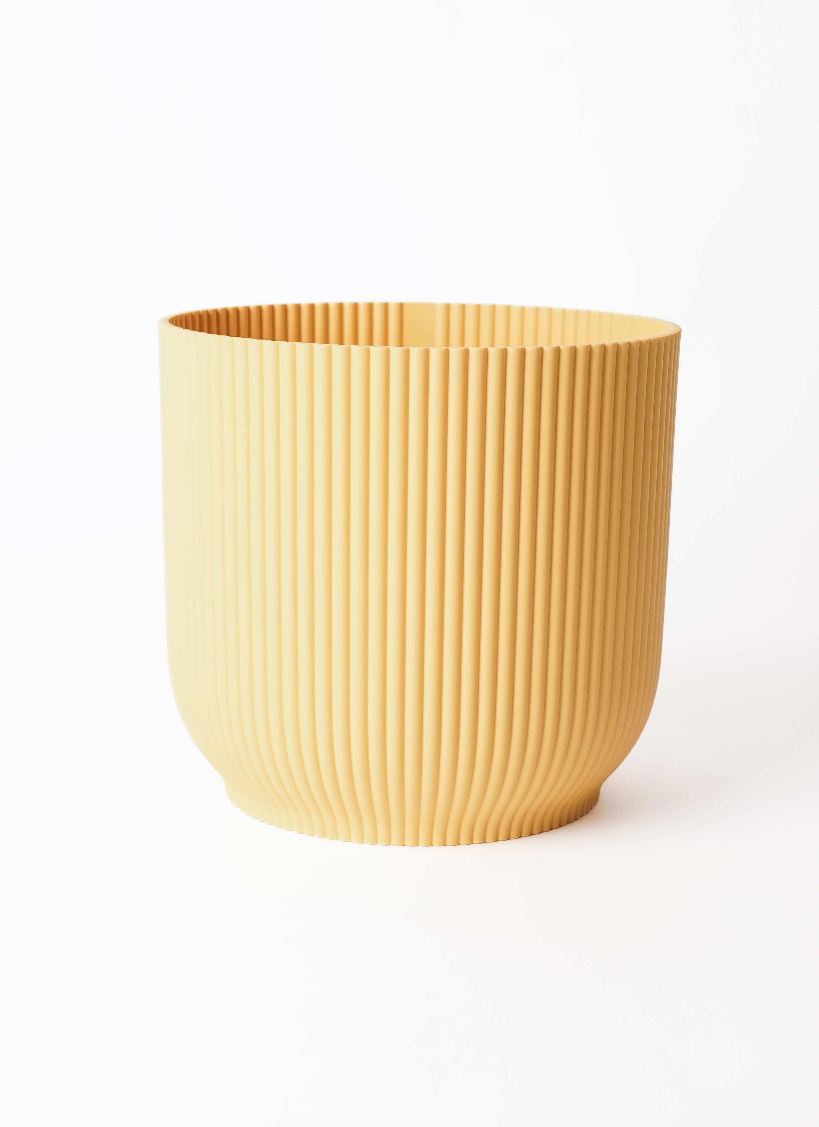 観葉植物 フィカス ベンガレンシス 6号 曲り Vibes Fold Pot