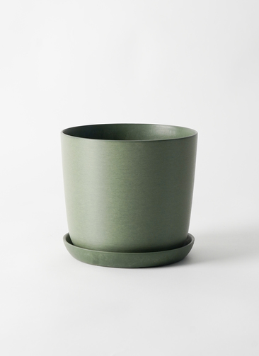 esteli-9_0001.jpg?1740022732