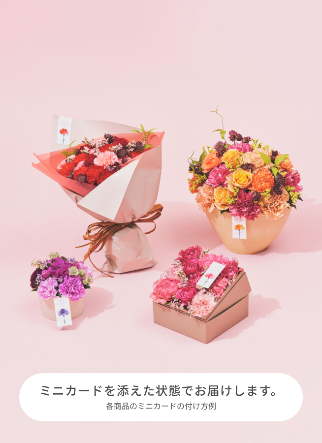 ゆらですページ 計56本　母の日　花束 母の日】カジュアルブーケ カーネーションで飾る楽しさいろいろ