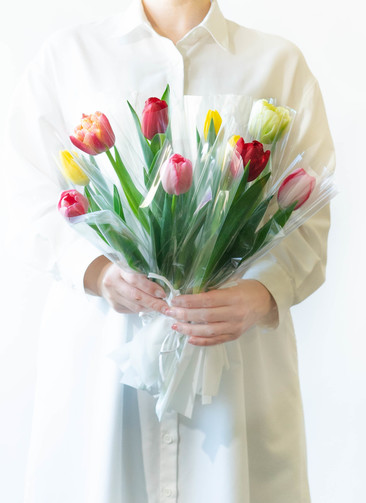 産地直送 チューリップ 1輪 花束 ミックス（50本入り）／富山 富山県