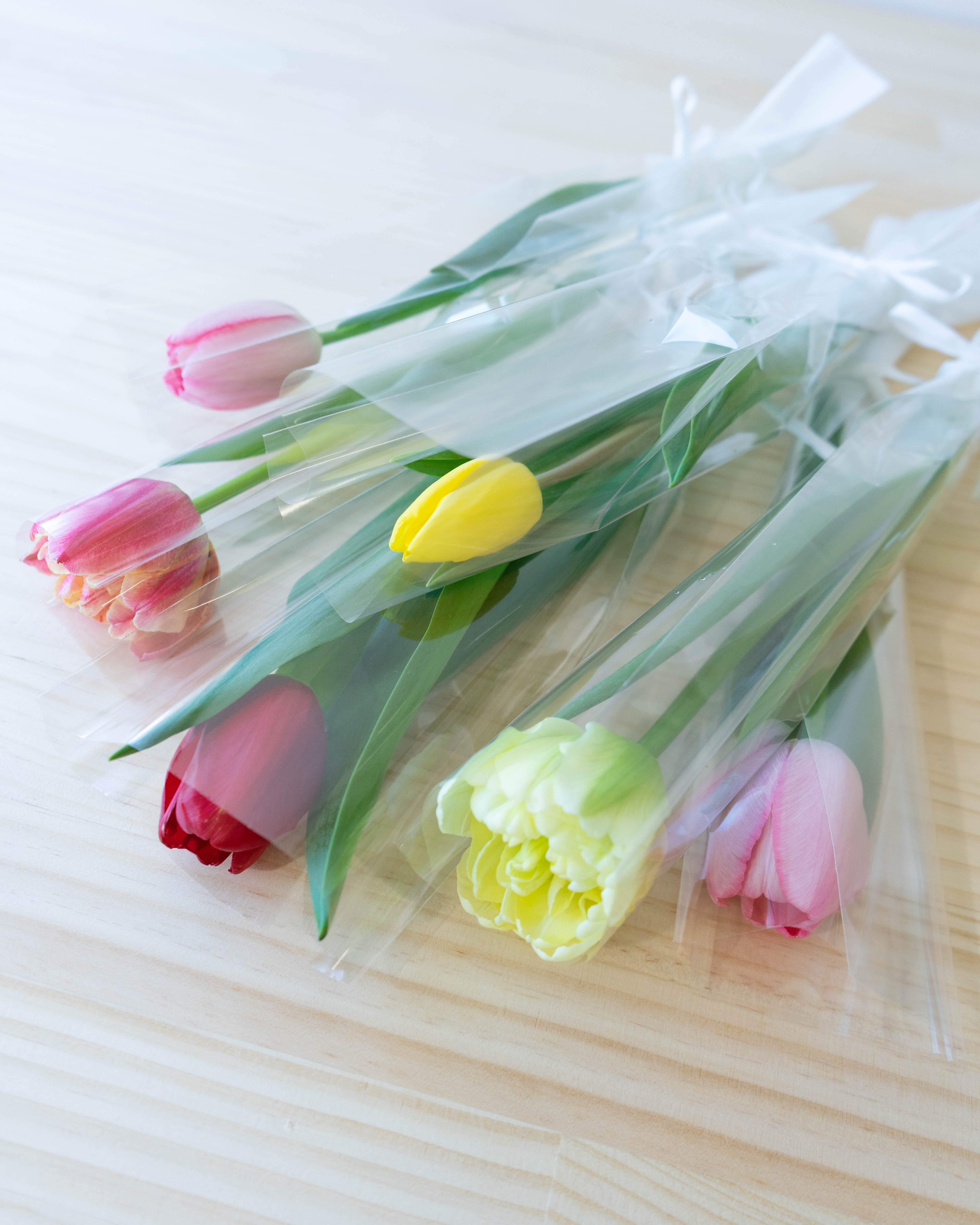 産地直送 チューリップ 1輪 花束 ミックス（10本入り）／富山 富山県
