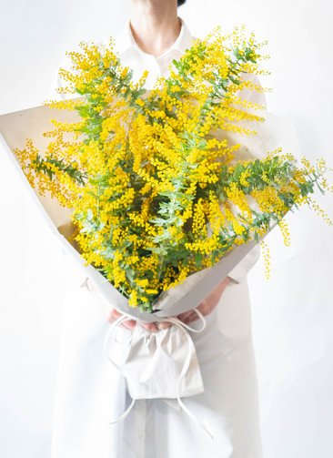ds-hagishima-mimosa-bundle-