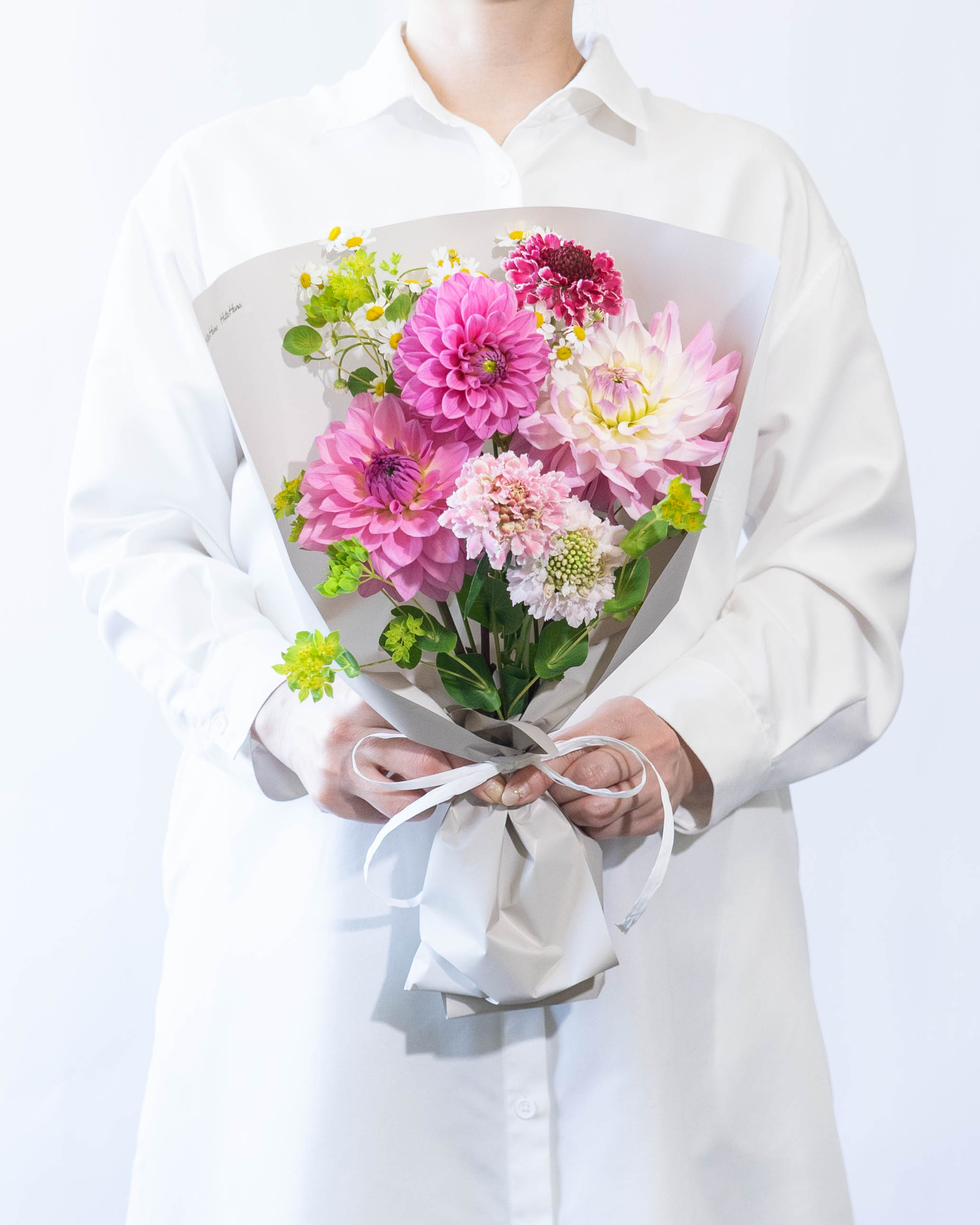 期間限定10％OFF対象商品】産地直送 ダリア スカビオサ 草花ミックス