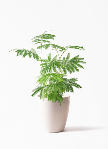 everfresh-1016_1.jpg?1745388420