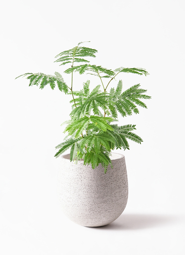 everfresh-1006_1.jpg?1745388444