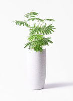 everfresh-1004_1.jpg?1745388471