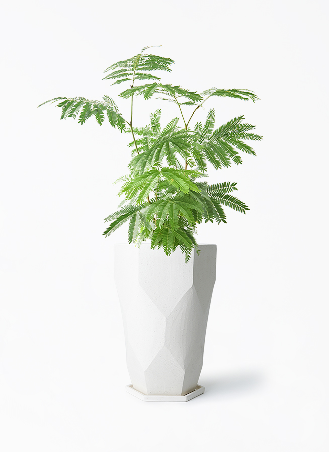everfresh-1019_1.jpg?1745388501