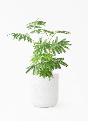 everfresh-1023_1.jpg?1745388508
