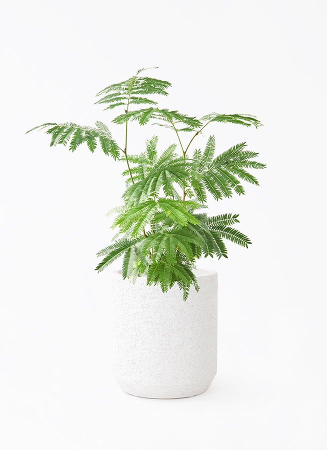 everfresh-1023_1.jpg?1745388508