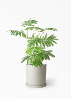 everfresh-1034_1.jpg?1745388534